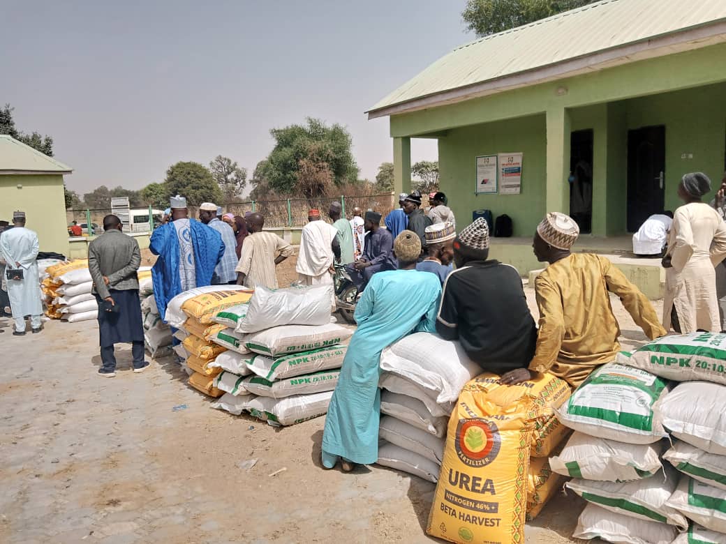 6 000 Kano wheat farmers get support from FG 6 000 Kano wheat farmers get support from FG