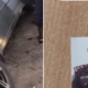 Gunmen kill deputy superintendent of police in Abuja 