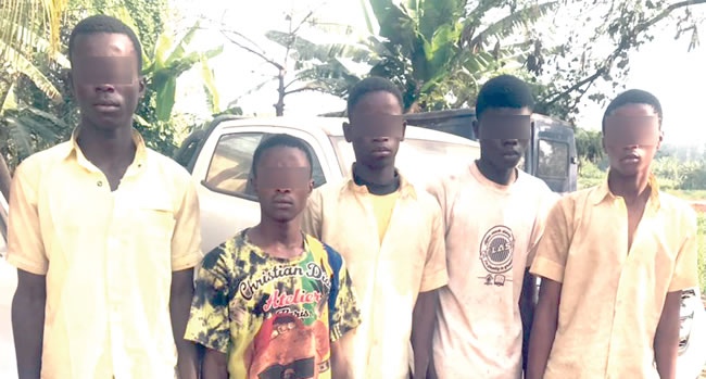 8216 How 5 Oyo secondary school students allegedly gang raped female colleagues inside bush 8217 How 5 Oyo secondary school students allegedly gang raped female colleagues inside bush
