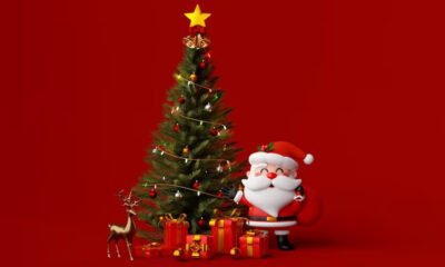  Nigerian gov announces N150 000 Christmas bonus for civil servants 