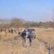  Landmine explosion kills 2 soldiers in Borno 