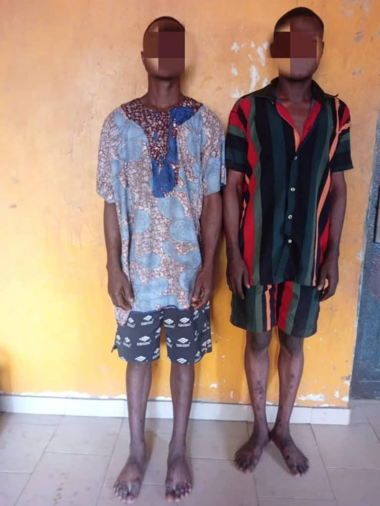 Man arrested for stealing goat for daughter 8217 s naming ceremony Man arrested for stealing goat for daughter s naming ceremony