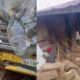  Truck rams into residential building kills 3 Muslims praying by roadside 11 others 