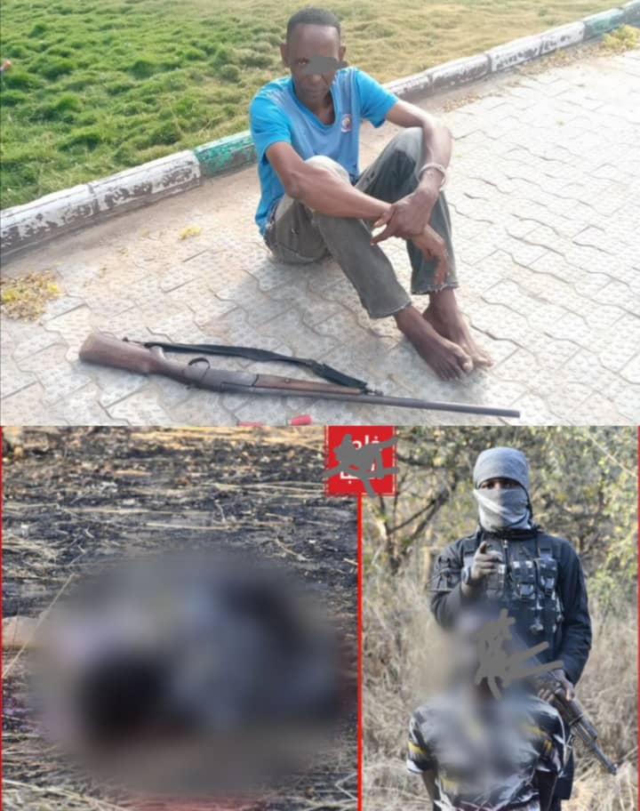 ISWAP kills CJTF member in Borno as troops nab suspected gunrunner in Taraba ISWAP kills CJTF member in Borno as troops nab suspected gunrunner in Taraba