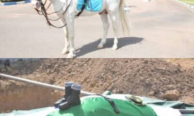  Nigerian Army buries loyal mascot Sgt Akawala in Kaduna 