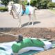  Nigerian Army buries loyal mascot Sgt Akawala in Kaduna 