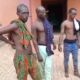  Suspected kidnappers disguising as cattle sellers arrested in Anambra 
