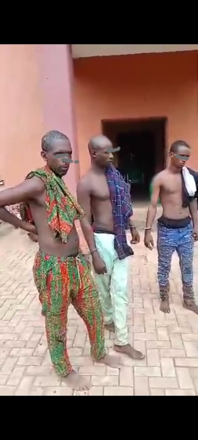 Suspected kidnappers disguising as cattle sellers arrested in Anambra Suspected kidnappers disguising as cattle sellers arrested in Anambra