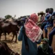  Farmers herdsmen clash Death toll rises to 10 in Jigawa 