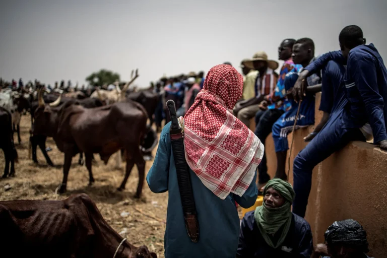 Farmers herdsmen clash Death toll rises to 10 in Jigawa Farmers herdsmen clash Death toll rises to 10 in Jigawa