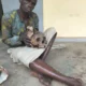  Man arrested with human skull in Ogun 