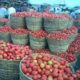  Price of tomatoes drops amid seasonal glut post harvest challenges 