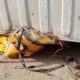  JUST IN 3 crushed to death by falling container in Oyo 