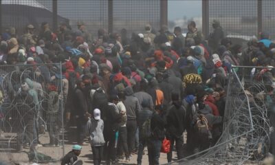  Anti Immigration Laws Nigerians must own war against corruption now HURIWA 