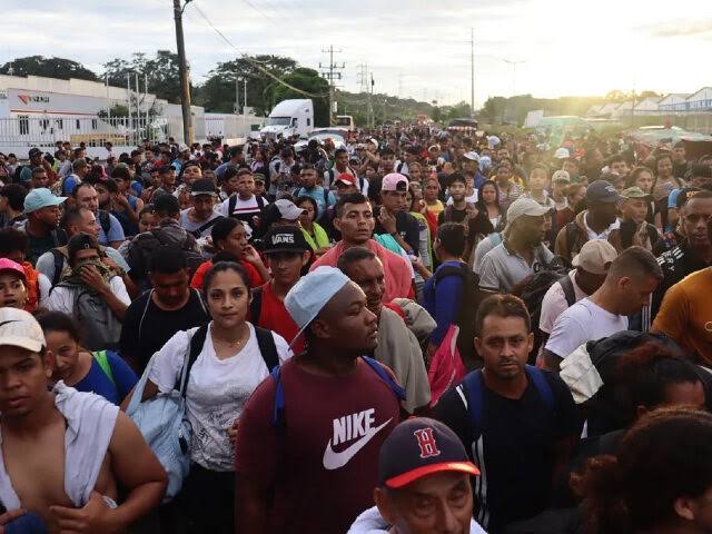 Trump Panic as 3 690 Nigerians in U S face deportation Trump Panic as 3 690 Nigerians in U S face deportation