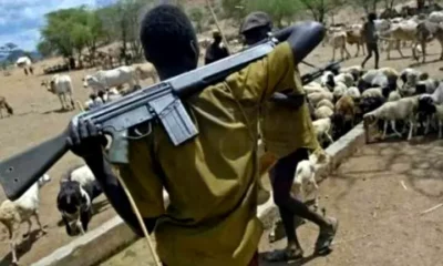  Suspected herdsmen kill 2 farmers in Edo community 