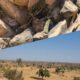  Troops finally capture Tungan Fulani Hills eliminate over 50 bandits 