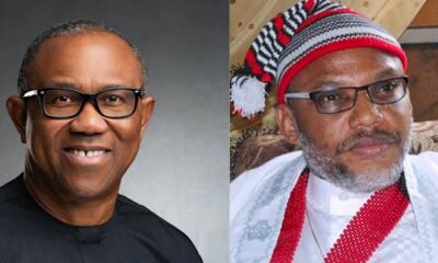   North regrets alliance with S East will teach Obi bitter political lesson for supporting Kanu  