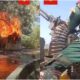  Top commanders 31 fighters killed as Boko Haram faction overruns ISWAP camps 
