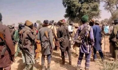  Over 200 bandits flee Zamfara forests relocate to another state Report 