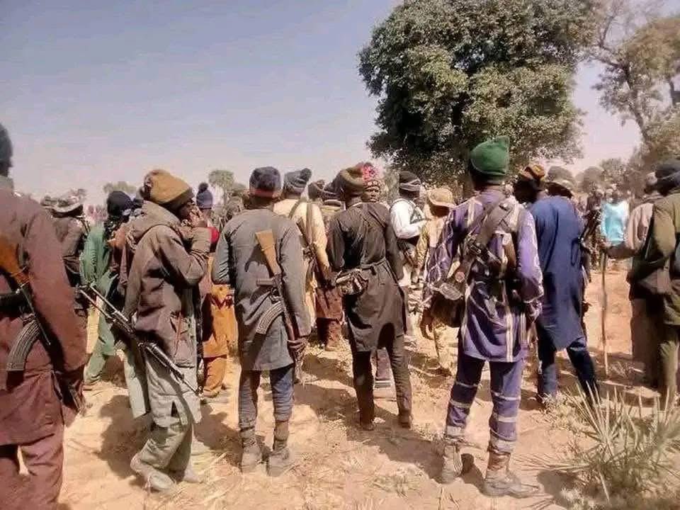 Over 200 bandits flee Zamfara forests relocate to another state Report Over 200 bandits flee Zamfara forests relocate to another state Report