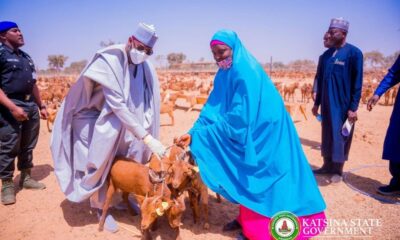  Nigerian gov empowers women with goats 