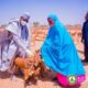  Nigerian gov empowers women with goats 