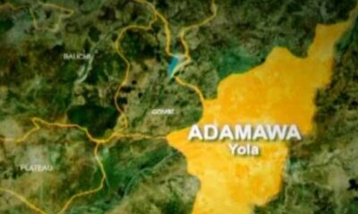  Butcher kills elder brother over N200 meat in Adamawa 