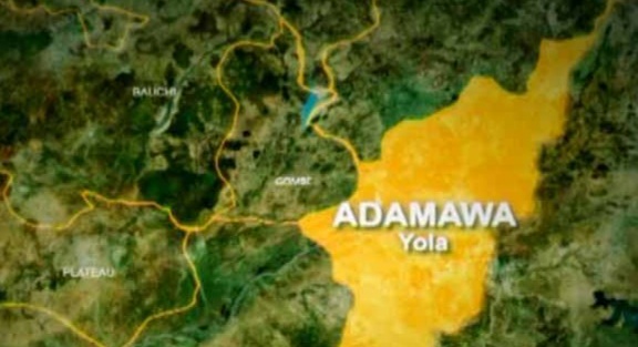 Butcher kills elder brother over N200 meat in Adamawa Butcher kills elder brother over N200 meat in Adamawa