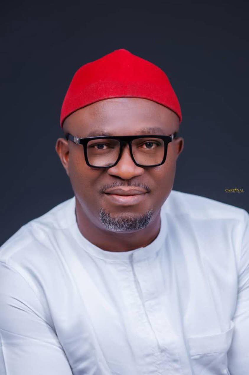 JUST IN S Court Judgment Udeh Okoye remains our National Secretary 8211 PDP JUST IN S Court Judgment Udeh Okoye remains our National Secretary PDP
