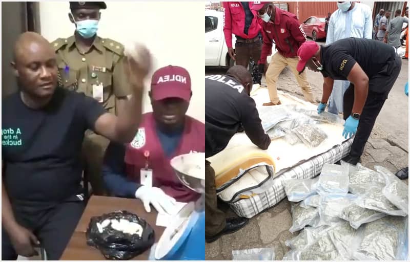 Angolan businessman caught smuggling 120 wraps of Clcocaine at Kano airport Angolan businessman caught smuggling 120 wraps of Clcocaine at Kano airport