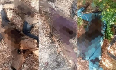  Nigerian troops raid ISWAP camp eliminate 4 terrorists 