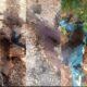  Nigerian troops raid ISWAP camp eliminate 4 terrorists 