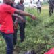  Tragedy as 25 year old man h ng self in forest 