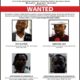  CBEX Wanted promoter surrenders to EFCC 