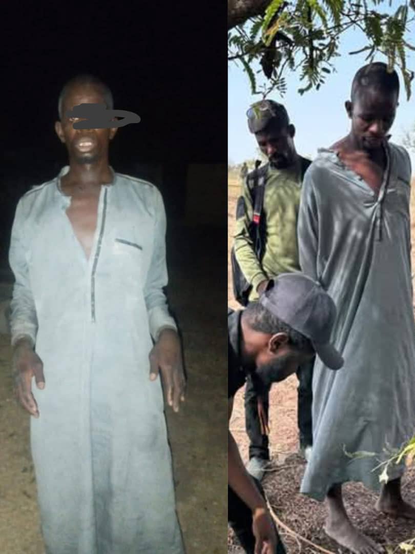 Troops capture wanted bandit recover cache of ammunition Troops capture wanted bandit recover cache of ammunition