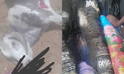 Plateau Troops foil another major violent clash as angry youths attack Fulani settlement 