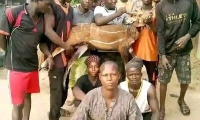  Uromi killings Kano lawmaker advocates ban on northern hunters movements to South 