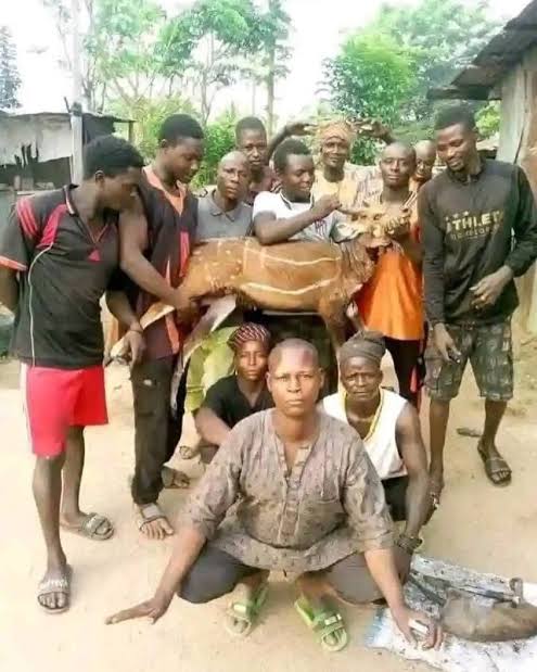 Uromi killings Kano lawmaker advocates ban on northern hunters 8217 movements to South Uromi killings Kano lawmaker advocates ban on northern hunters movements to South