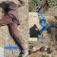  Nigerian troops push deep into Sambisa Forest kill 5 Boko Haram terrorists 