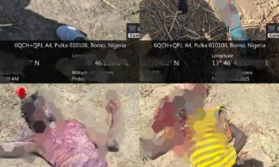  5 terrorists killed in military ambush in Gwoza 