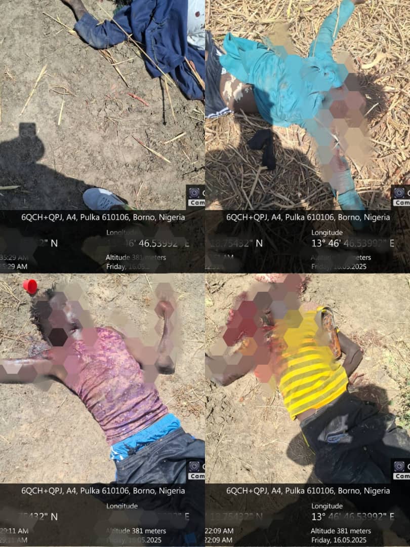 5 terrorists killed in military ambush in Gwoza 5 terrorists killed in military ambush in Gwoza