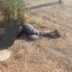   How troops eliminated suspected ISWAP informant in deadly ambush  