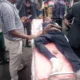  Tears flow as policeman s stray bullet kills WAEC candidate in Ibadan 