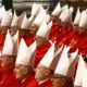  Not African Asian or European pope but By Emmanuel Onwubiko 