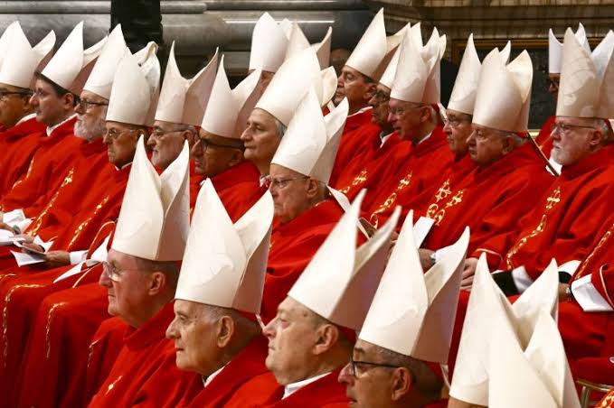 Not African Asian or European pope but 8230 By Emmanuel Onwubiko Not African Asian or European pope but By Emmanuel Onwubiko