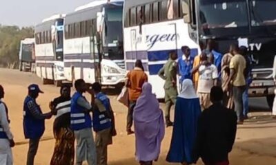 FG moves to repatriate 15 000 stranded Nigerians from abroad 