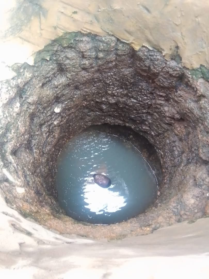 Man takes 8216 Colos 8217 after Eid prayer jumps into well Man takes Colos after Eid prayer jumps into well