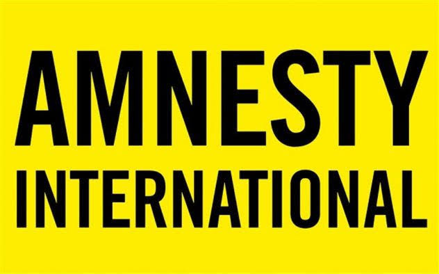  CSO rejects Amnesty International report says it misrepresents Nigeria s security reality 