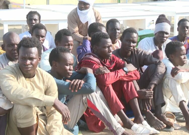  Over 210 Boko Haram fighters families surrender to troops in Lake Chad 